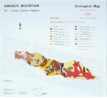 TEMAP3 Soil Units