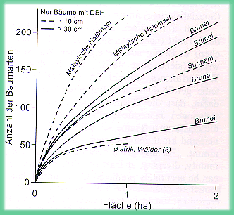 Baumartenzahl/Fläche-Kurven
