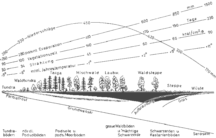 Profil durch Osteuropa