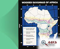 wooded savannas of Africa