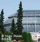Tropenhaus des BGBM