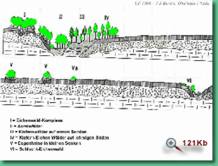 Abb. Wald-Steppe